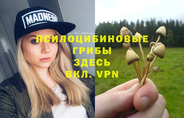 кокаин колумбия Белокуриха